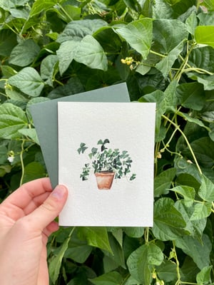 Image of Clover Plant Greeting Card