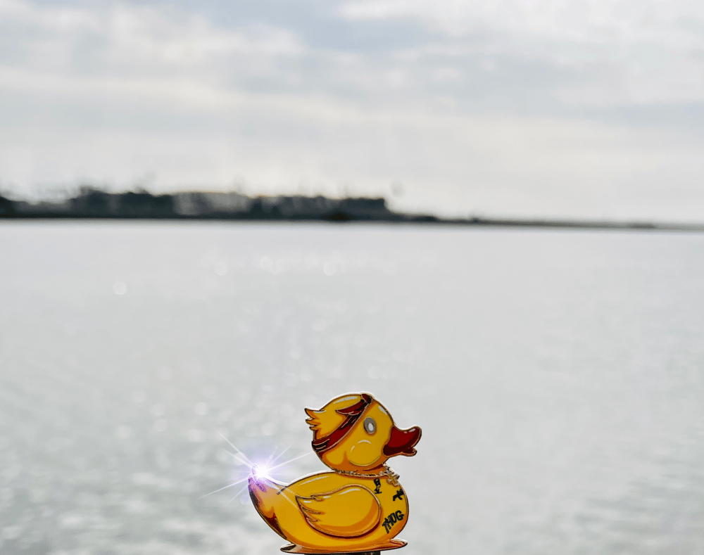 Pac Duck 