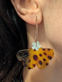 Image 2 of Boucles d'oreilles ginko graou