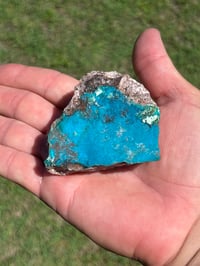 Image 12 of Chrysocolla On Matrix Specimen | Congo #2937