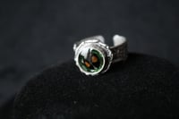 Image 2 of Dead Good harlequin ladybird ring