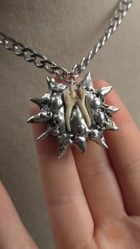 Image 4 of Sheep tooth star chunky statement necklace