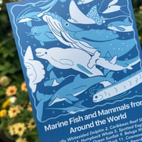 Image 5 of Big Fish* Postcard Print
