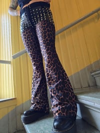 Image 1 of Studded flared leopard spandex pants