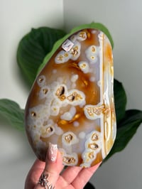 Image 2 of HONEYCOMB CARNELIAN FREEFORM -MADAGASCAR- B