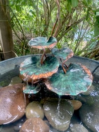 Image 1 of 🍃🍃5 Leaves🍃🍃🍃