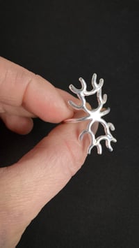 Image 2 of Radiolaire 1