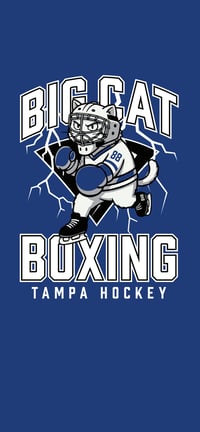 Image 2 of Big Cat Boxing