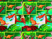 Image 20 of Australiana Scrub Hats