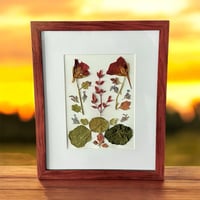 Image 1 of Genuine Nasturtium, Obsession Nandina, Catmint And Mum Leaves In 8" X 10" Frame (Item# 2021168)