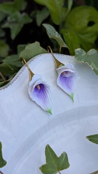 Image 4 of Calla Lily 