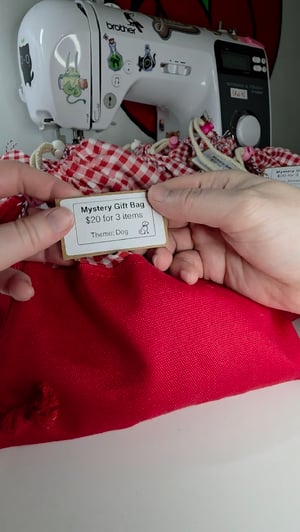 Image of Mystery Bags