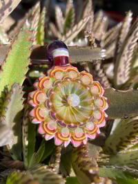 Image 1 of Magenta Magnolia