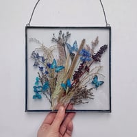 Image 2 of Butterfly Effect