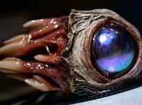Image 1 of Nebula Fang Oracle Pendant - 1.5" Handmade OOAK