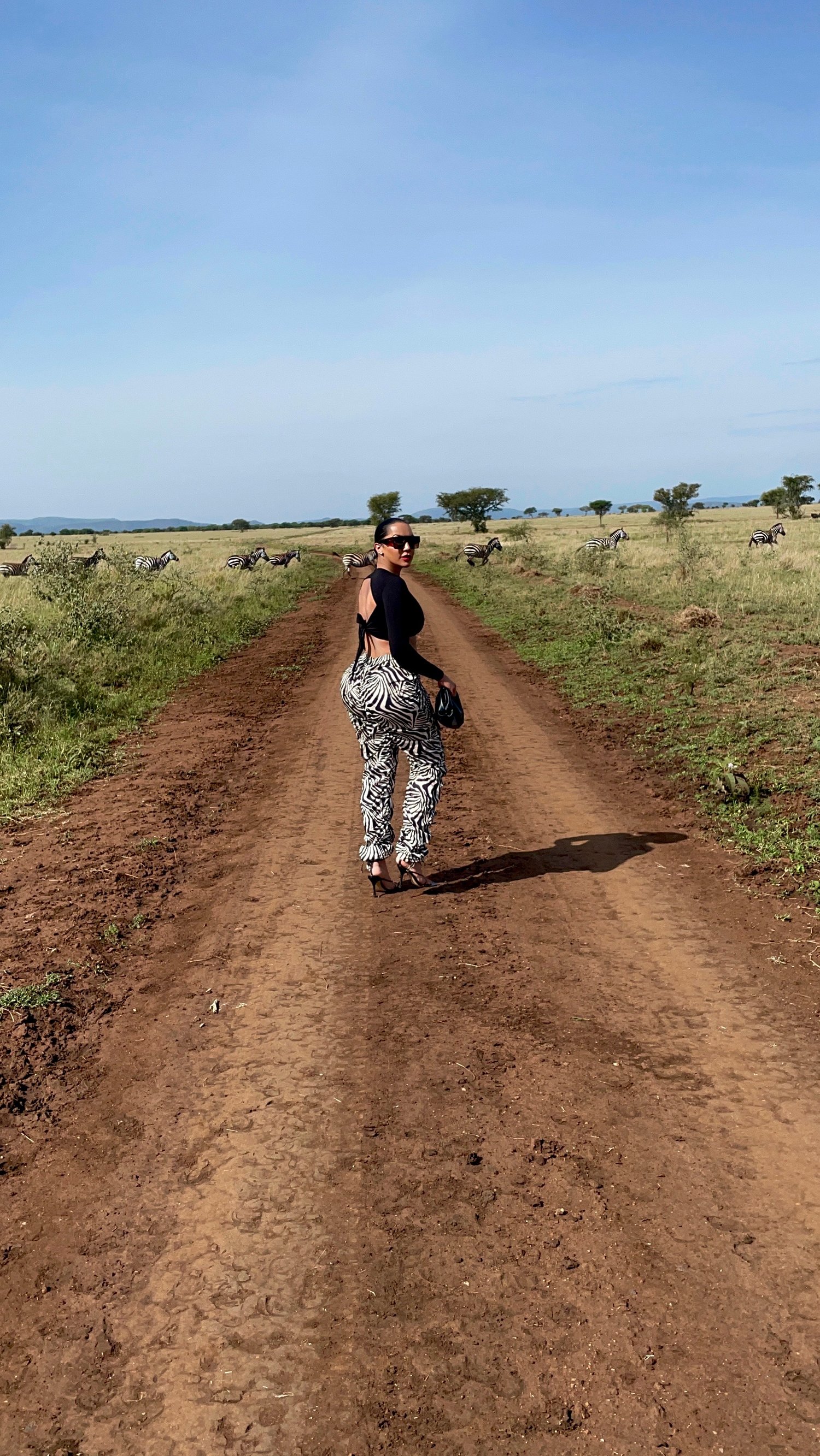 Image of ABSTRACT ZEBRA V-CUT SLOUCHY PANTS 