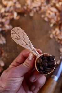 Image 8 of ~ Coffee Scoop 