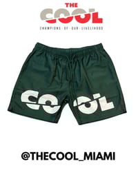 The Cool Shorts (Green/white)