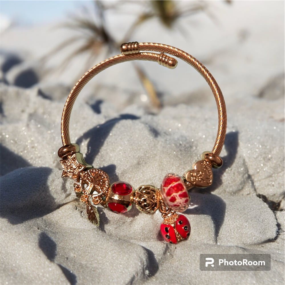 Image of LadyBug Charm Bracelet