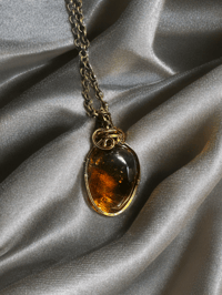 Image 1 of Amber Beetle