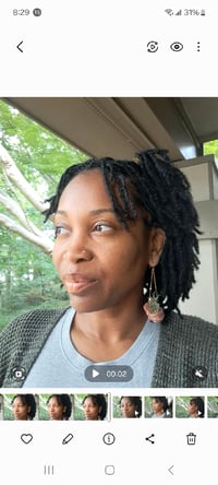 Image 4 of Airplant Earrings