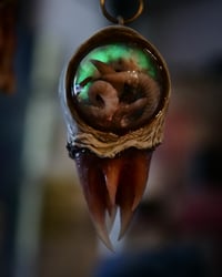 Image 2 of Nebula Hatchling Snaggletooth Pendant - Handmade,  2" OOAK