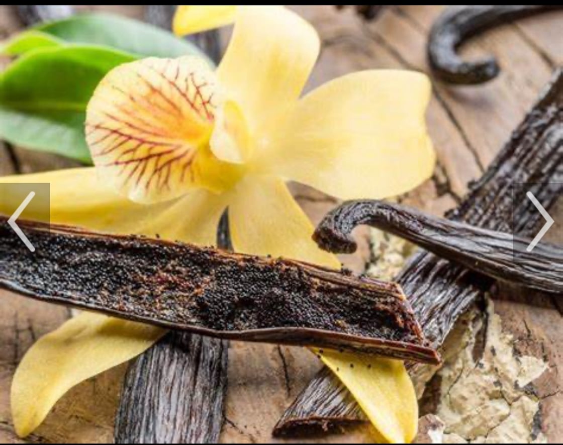 Image of Vanilla robusto 5 1/2 x 46 