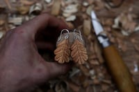 Image 4 of Oak leaf Earrings. 