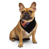 Image 1 of Above The Clouds Bandana