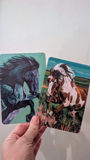 Horse Postcards