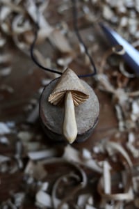 Image 1 of Birch Mushroom 