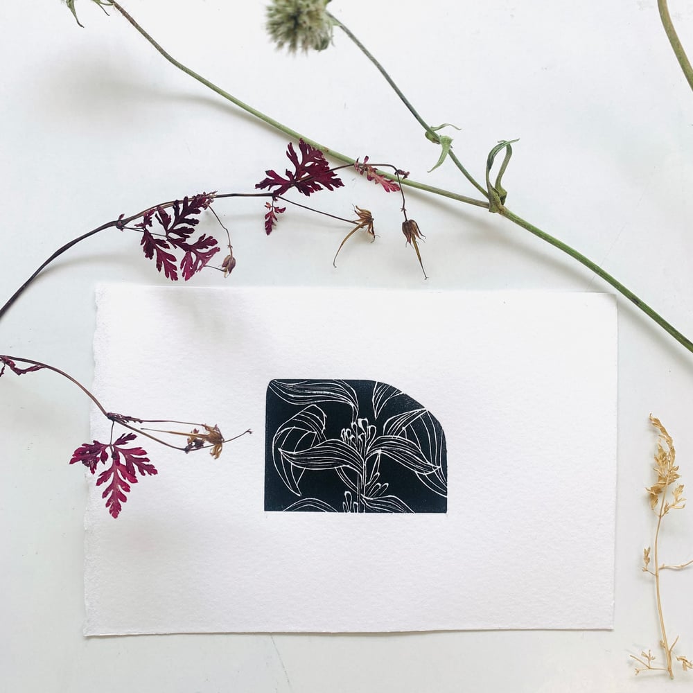 Image of Bird of Paradise Flower, Kew Gardens Wood Engraving 