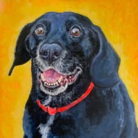 Image 4 of Dogs 