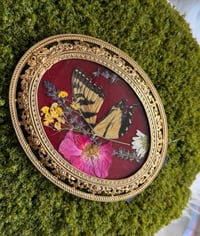Image 4 of Antique Swallowtail Frame