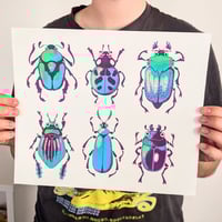 Image 3 of British Beetles - Large Screen Print