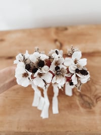 Image 1 of little star