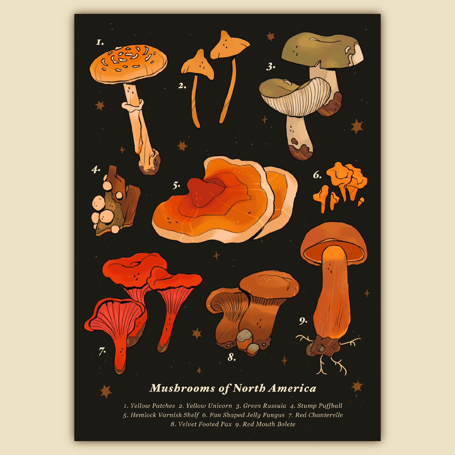 Mushrooms of North America Print