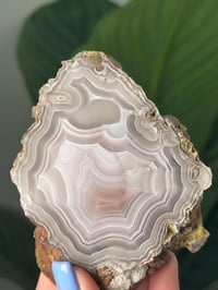 Image 2 of DOUBLE SIDED LAGUNA AGATE SLICE Q