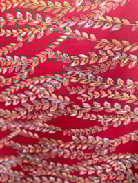 Image 4 of ISA NEMIN