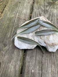 Image 3 of Tracer Shads - "GOBY"