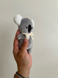 Image 2 of Kora the Koala 