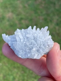 Image 3 of Snowflake Quartz Crystal Cluster #1943