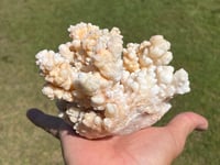 Image 8 of Calcite Crystal Cluster Reef Formation Specimen #1235