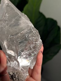 Image 9 of RAINBOW FILLED LA PLATOSA SELENITE -MEXICO- B