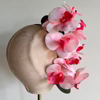 Image 4 of Pink orchids #3   