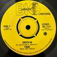 Tribe - Groovin