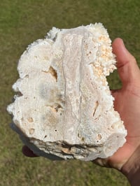 Image 12 of Aragonite On White Calcite Specimen #1243