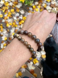 Image 5 of Petrified Wood Energy Bracelet