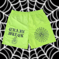 Image 1 of Web swimmers