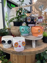 Sugar Skull Pots